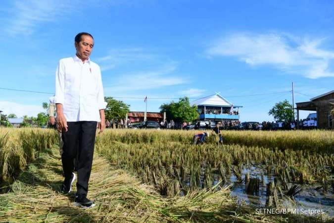 Kunker ke Pekalongan, Presiden Jokowi Tinjau Penanaman Padi dan Serap Aspirasi Petani