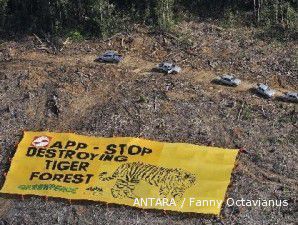 Daerah percobaan program REDD belum ditetapkan