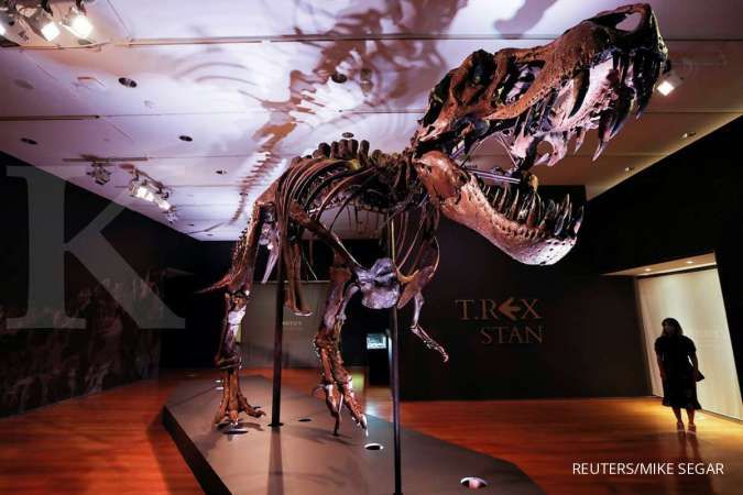 Wow, Christie bakal lelang kerangka Tyrannosaurus Rex terbesar berusia 67 juta tahun