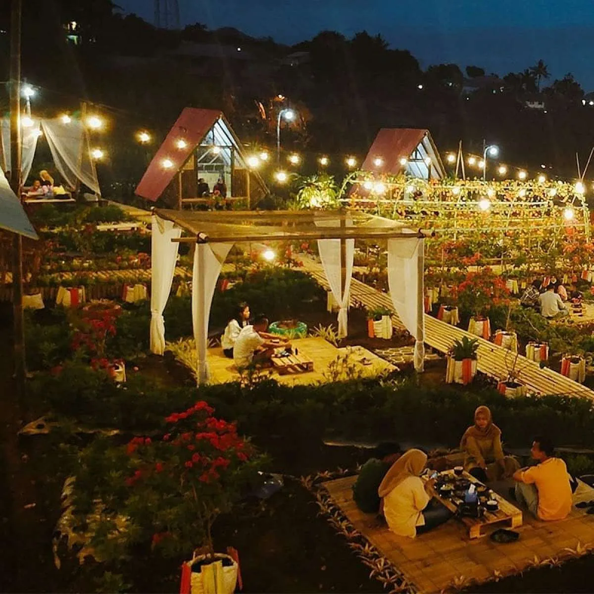 Tapos Garden, ngopi sambil melihat bunga warna-warni di Bogor