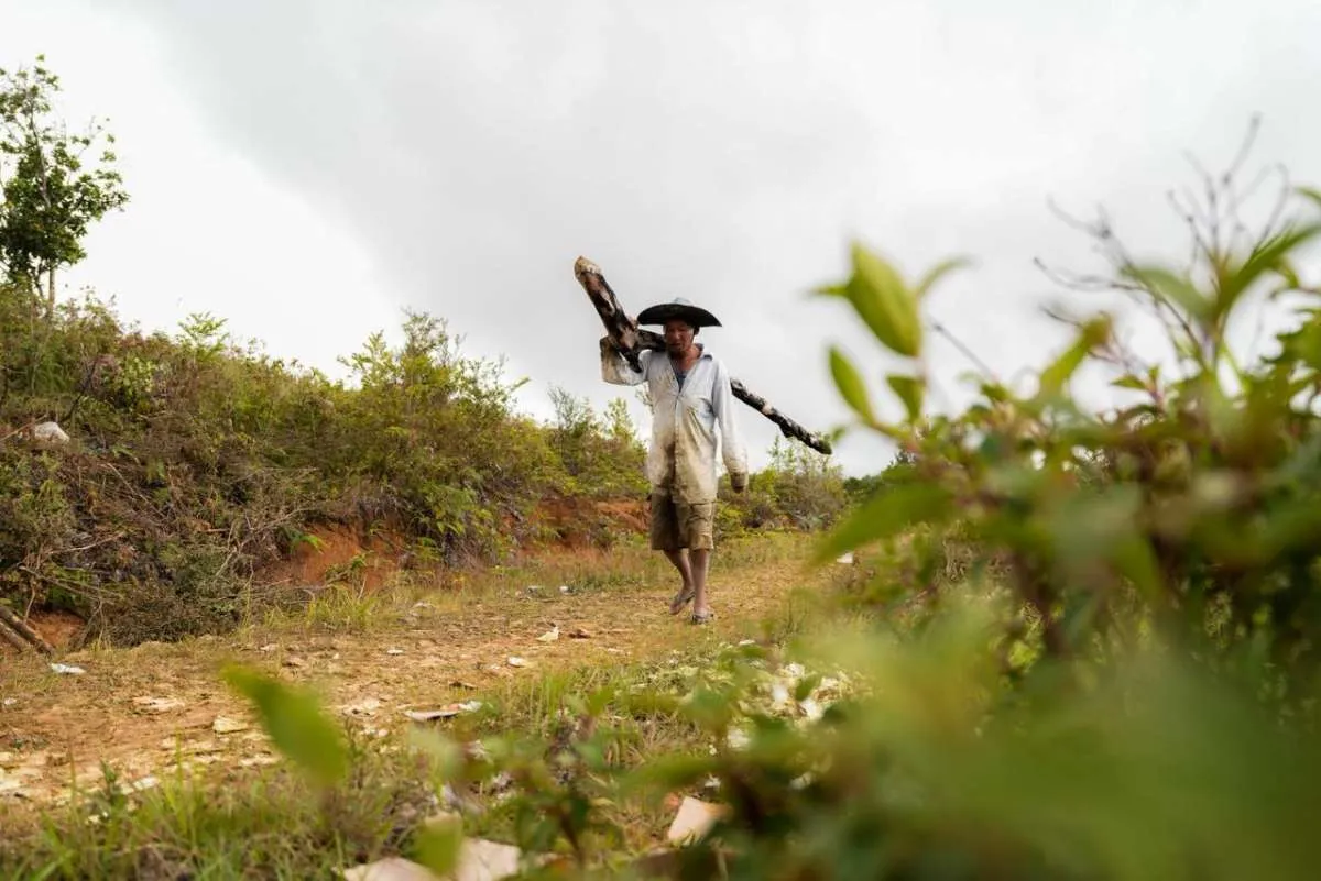 Tiga Siklon Kepung Indonesia, BMKG Tingkatkan Kewaspadaan
