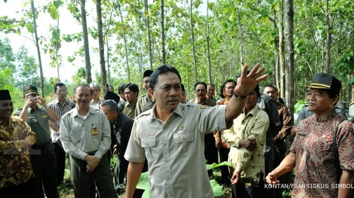 Perluasan hutan berbasis rakyat belum optimal