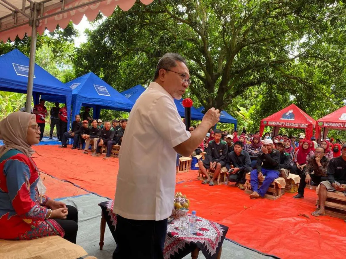 Mendag Pede Mangga Asli Indonesia Jadi Primadona bagi Masyarakat Dunia