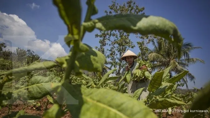 Government Urged Not to Ratify Tobacco Control