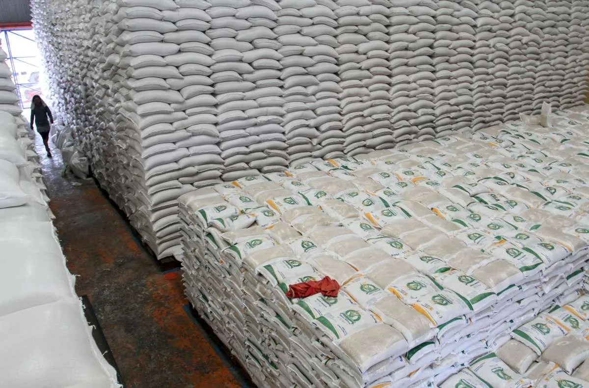 Panen Raya, Bulog Siapkan Anggaran Rp 68,6 Triliun Untuk Serap Gabah Petani