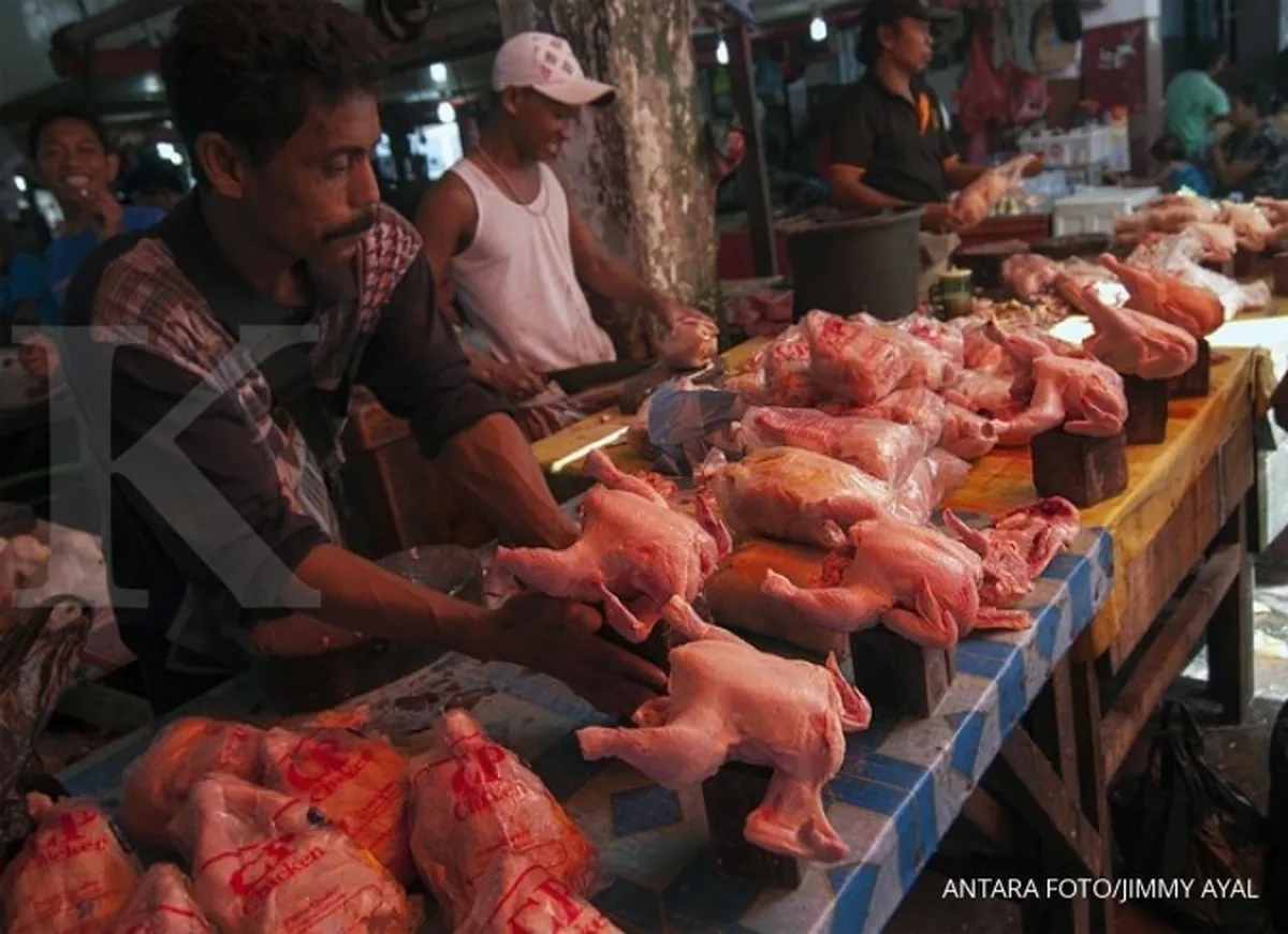 Harga daging ayam naik, perusahaan salahkan broker