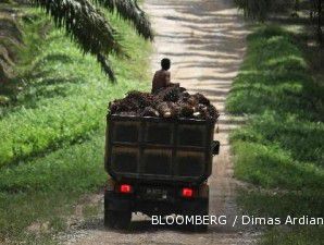 Produktivitas minyak kelapa sawit Indonesia hanya 3,7 ton per hektar per tahun