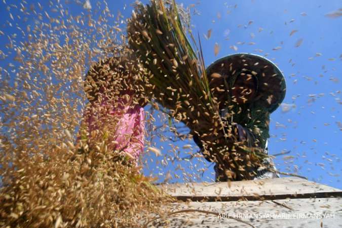 Waspada, Bapanas Ungkap Ada 68 Kabupaten/Kota Rentan Rawan Pangan