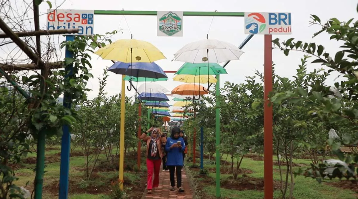 BRI Jangkau 5.245 Desa BRILiaN hingga Akhir 2025