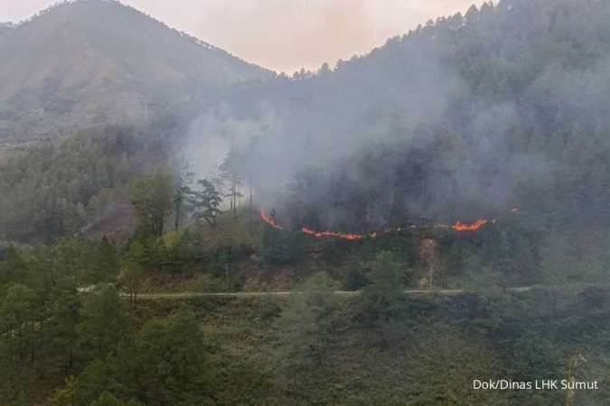 100 Hektar Hutan Lindung di Samosir Terbakar, Pemadaman Masih Terus Dilakukan 