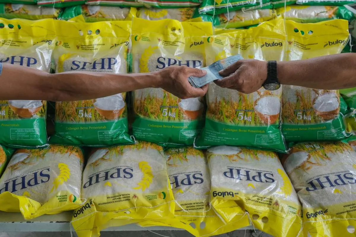 Inflasi Pangan Mulai Terkendali, Pemerintah Klaim Intervensi Mulai Berhasil