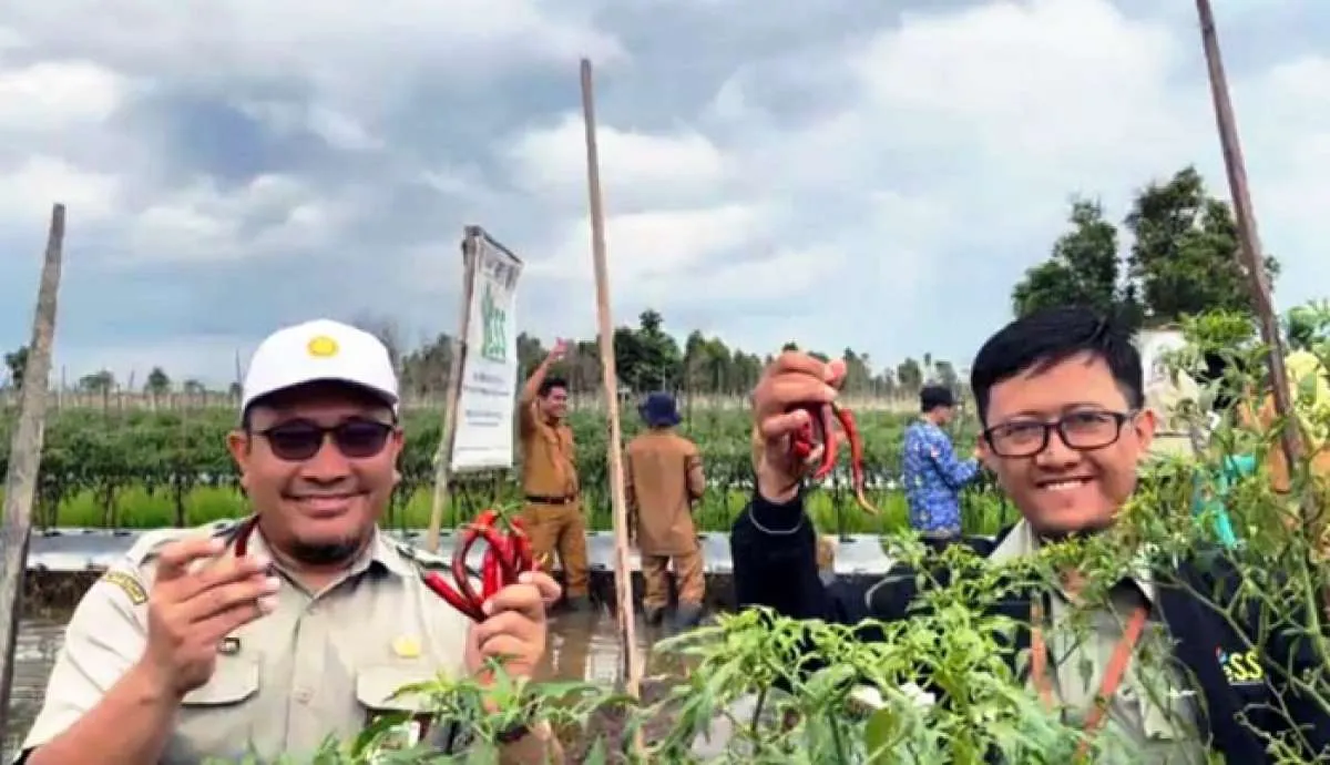 Kementan Dorong Petani Milenial Optimalkan Pengelolaan Lahan Rawa Untuk Pertanian