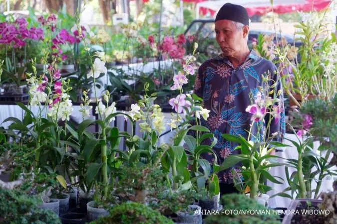 Jangan Salah Pilih Tanaman, 5 Jenis Ini Bisa Bikin Nyamuk Datang ke Rumah