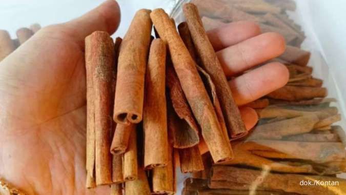 10 Obat Tradisional untuk Menurunkan Kolesterol Tinggi secara Alami