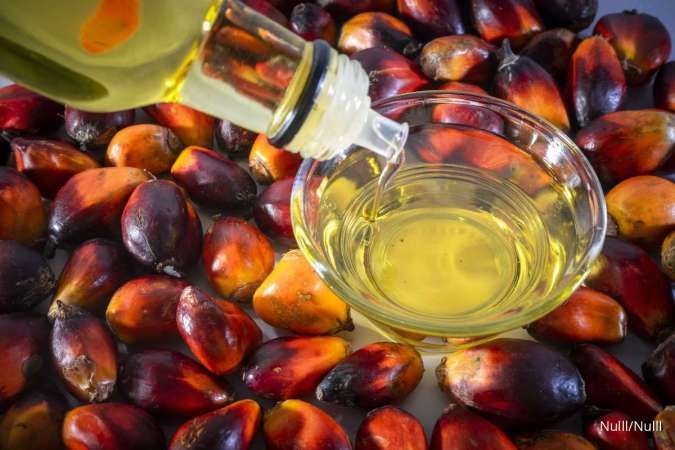 Harga Minyak Goreng Naik, Tekanan Datang dari Biaya Kemasan