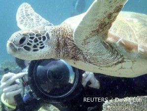 Underwater Photography