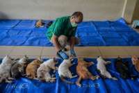 Peringatan 30 April: 4 Hari Besar Ini Buka Wawasan Global Anda