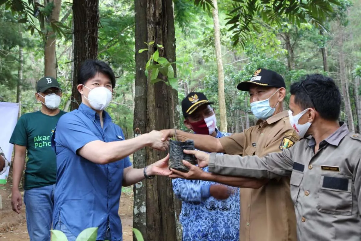 Jaga kelestarian lingkungan, Triputra Agro Persada Group sumbang 3.000 bibit pohon