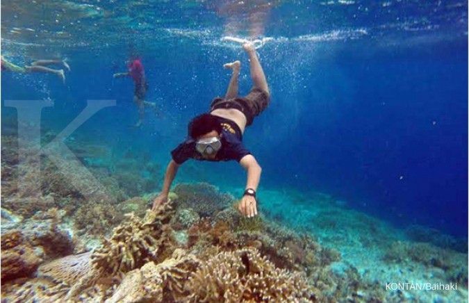 Konservasi Ridge To Reef, Kerjasama Indonesia dan Australia Menjaga Lingkungan