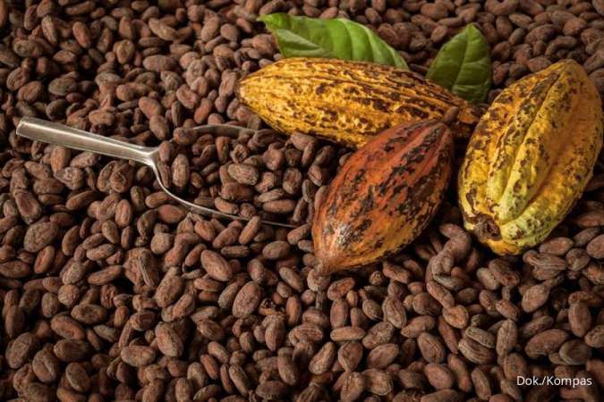 Petani Kakao Butuh Ekstensifikasi Lahan untuk Tingkatkan Produktivitas
