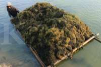 Kelapa Hingga Rumput Laut Akan Jadi Fokus Hilirisasi Pemerintahan Prabowo