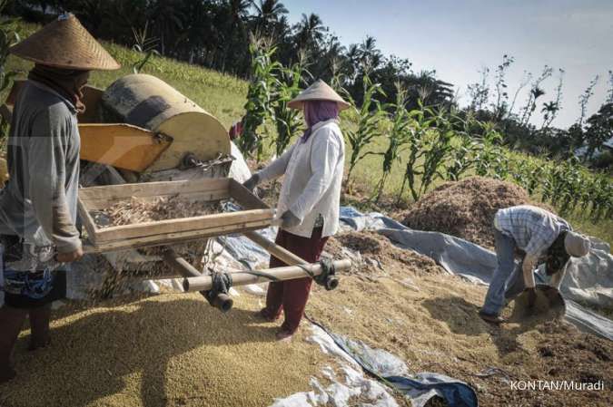 Ini Penyebab Petani Indonesia Enggan Tanam Kedelai