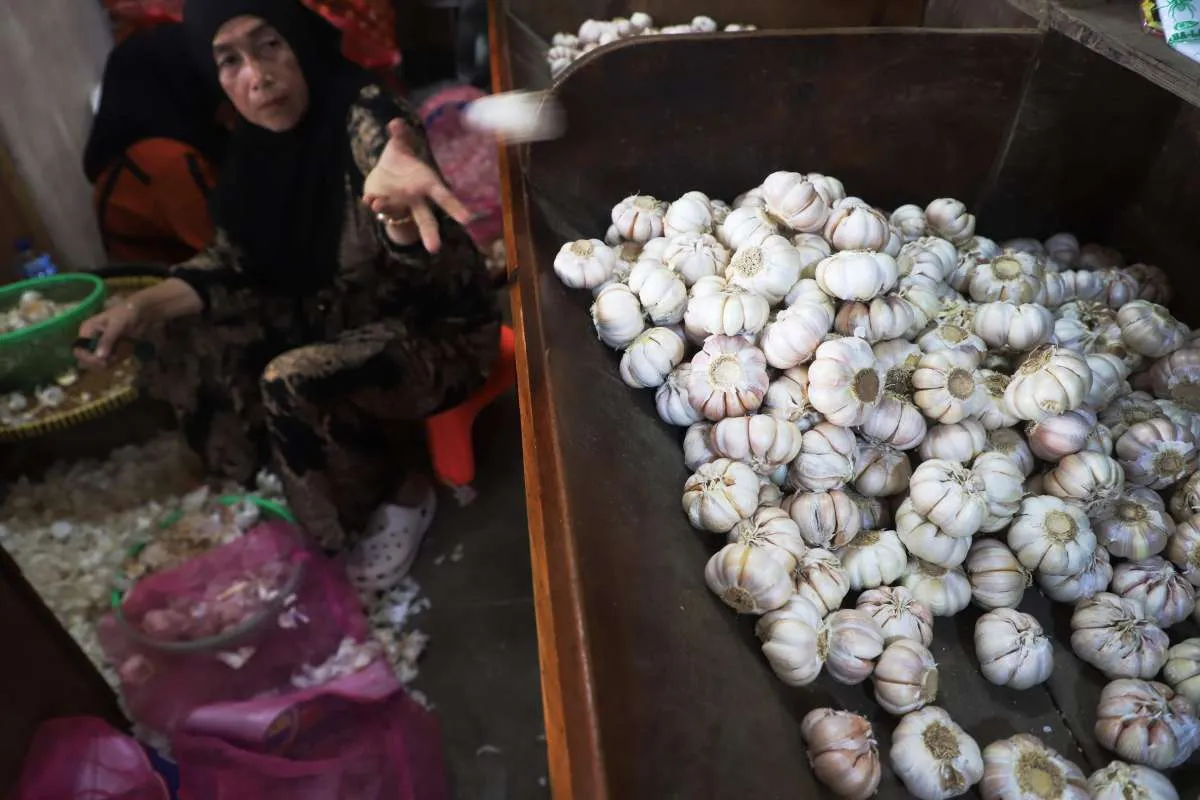 Realisasi Impor Bawang Putih Capai 163.082 Ton Hingga Awal Juni 2025