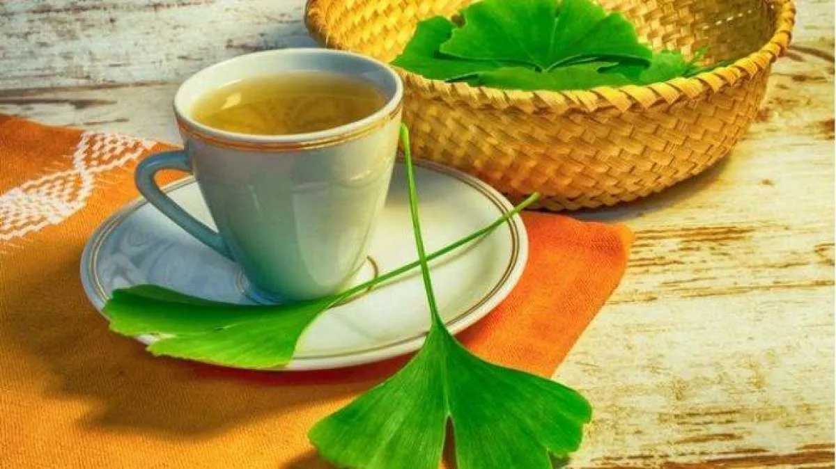 Tanaman Herbal Kuno, Ini 7 Manfaat Ginkgo Biloba untuk Kesehatan 