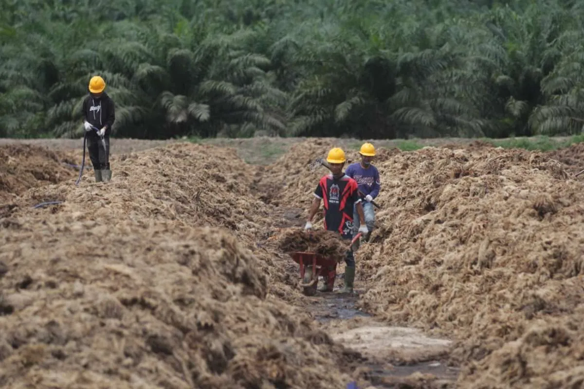 Pabrik Baru Menthobi (MKTR) Produksi Pupuk Organik dan Hayati Sebanyak 5 Ton per Jam