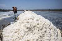 Rencana Penghentian Impor Garam Tahun Depan, Indef Ingatkan Kesiapan Pasokan