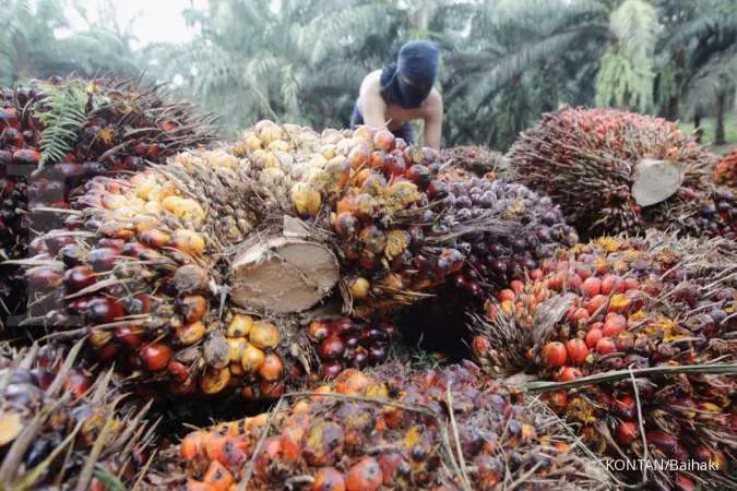 Indonesia to revamp palm oil levy to support biodiesel programme