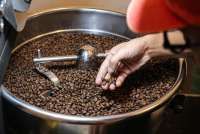 5 Penyebab Usaha Kopi Gagal di Tahun Pertama dan Cara Menghindarinya