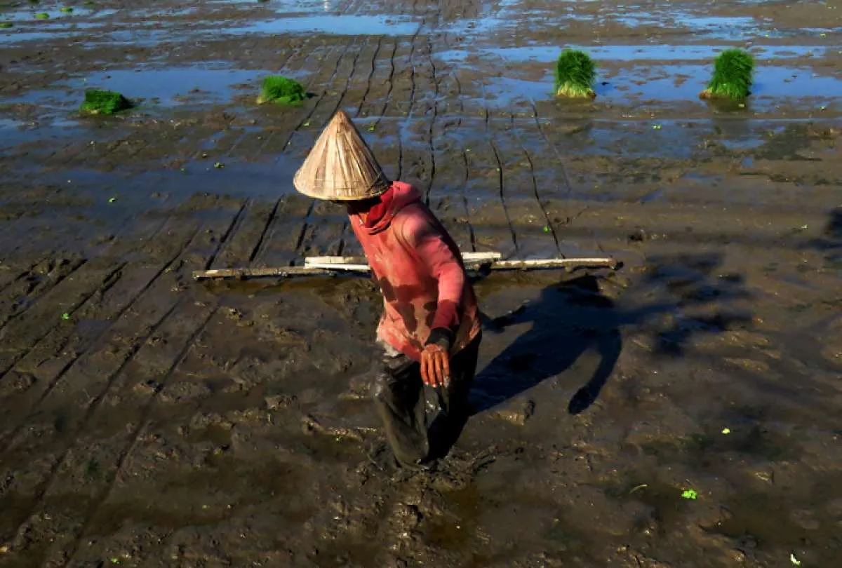 Petani Milenial Jatim Perkokoh Kolaborasi dengan Keuangan Syariah