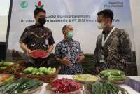 Lebaran dan Diversifikasi Konsumsi Pangan