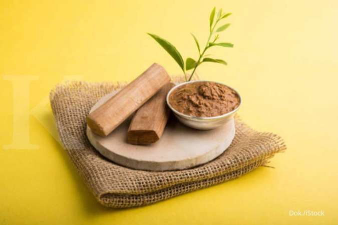 Cara Menghilangkan Bekas Jerawat​ dengan Tanaman Herbal yang Bisa Anda Coba