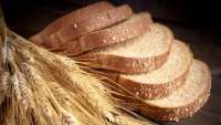 Pebisnis Terigu Menjajaki Impor Gandum Amerika Serikat