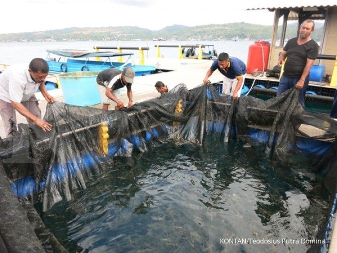 KKP targetkan peningkatan produksi ikan budidaya