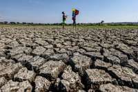Antisipasi Dampak El Nino Kuat, BMKG Imbau Masyarakat dan Sektor Pertanian Bersiap