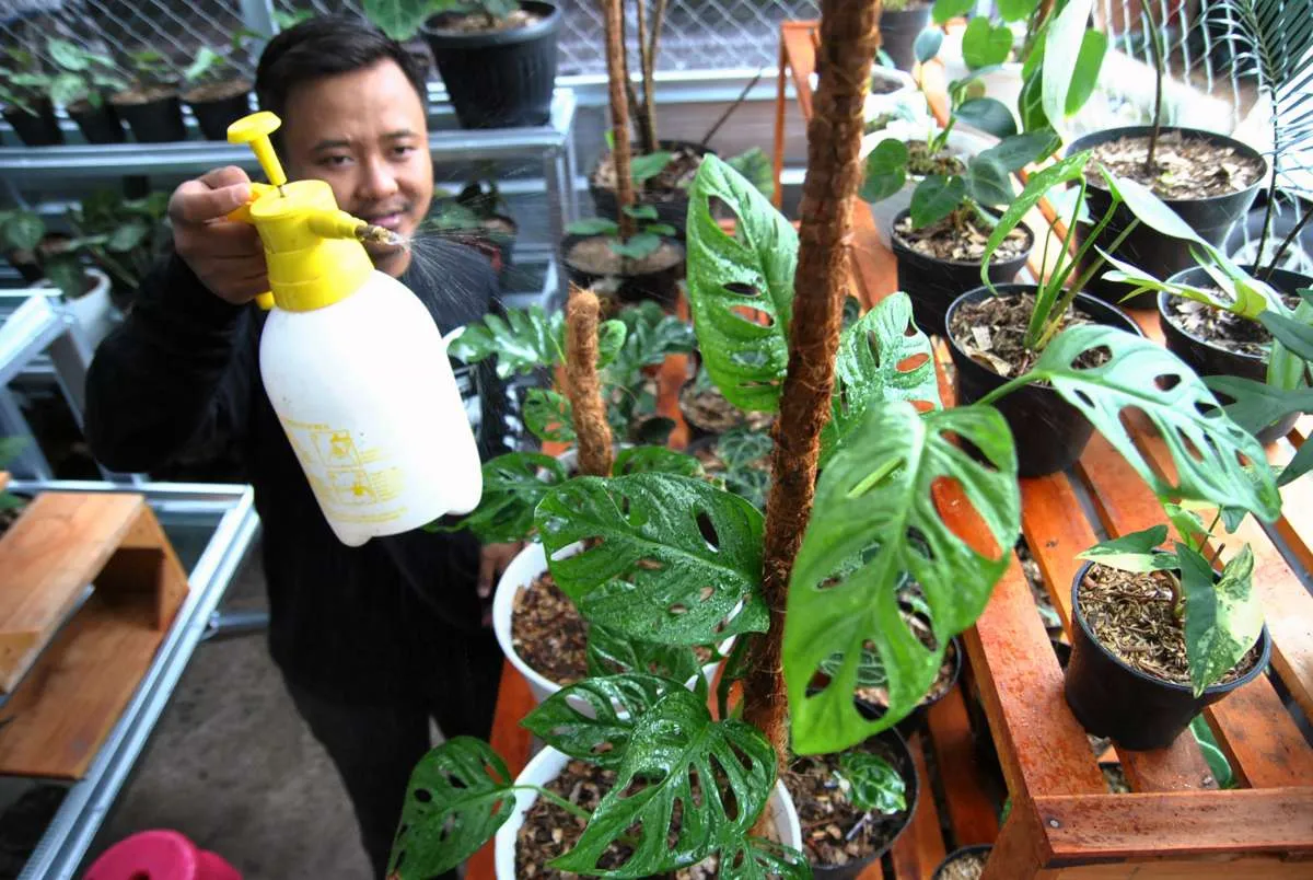 Laba yang Nyata dari Usaha Berjualan Pot Terakota
