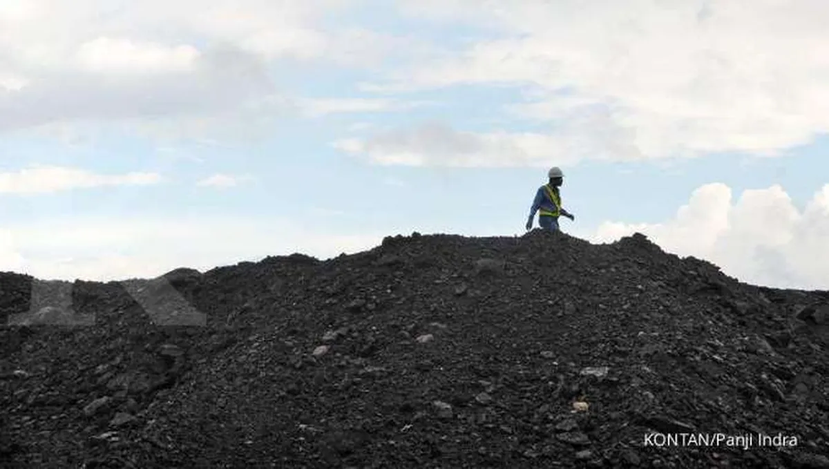 Batubara kena PPN, begini penilaian pengamat pajak