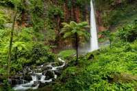 Rangkul Sinergi Masyarakat Adat untuk Jaga Hutan, GATC Gelar Three Basins Summit