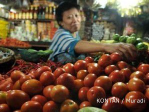 Setelah cabai, kini giliran tomat terserang virus gemini