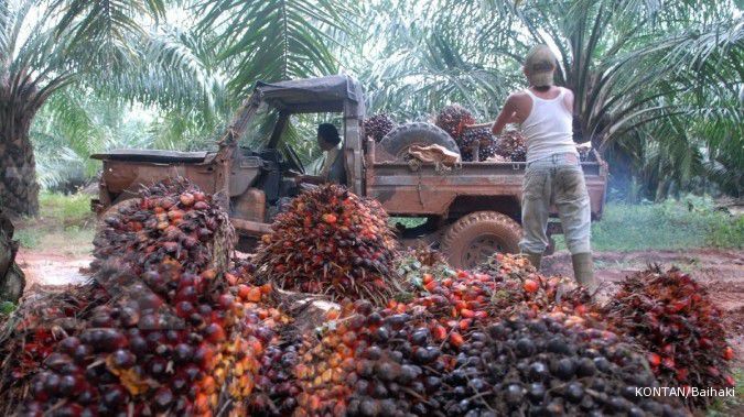 Ekspor CPO Indonesia kuartal II diramal naik 8%