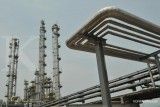Gangguan Gas dan Konflik Timur Tengah Tekan Produksi Petrokimia Nasional