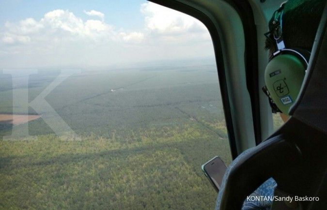 Konversi hutan produksi jadi hutan alam berdampak ke turunnya bahan baku industri