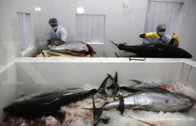 Kualitas tangkapan tuna nelayan rendah