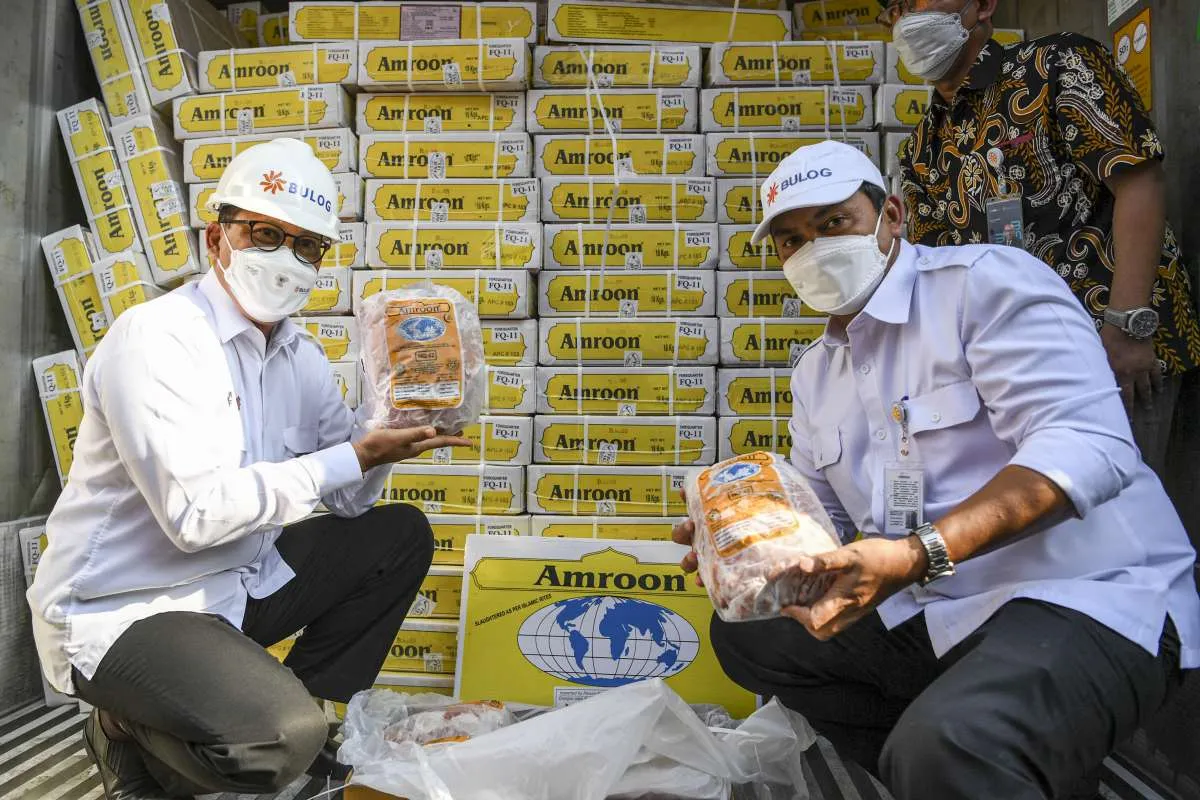 Penuhi Kebutuhan Ramadan dan Lebaran, 20.000 Ton Daging Kerbau Impor Siap Masuk RI
