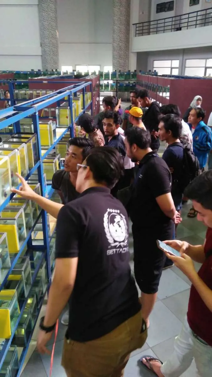 KKP menggelar kontes ikan cupang di Bogor 