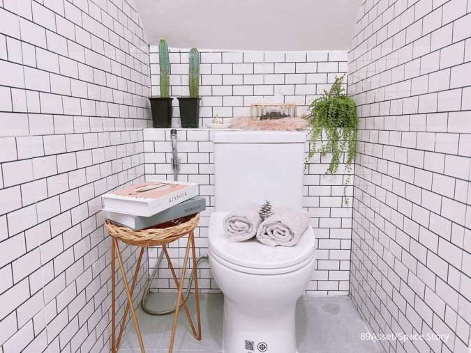 Ide Tanaman Hias di Toilet Duduk Kamar Mandi, Menambah Kesan Estetik