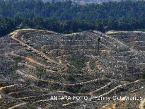 Moratorium berhenti jika penurunan laju deforestasi 50%
